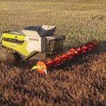 Claas Lexion 8800 Terra Trac – 2021 – 1.235 h (Ernte)